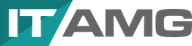 ITAMG (IT Asset Management Group)